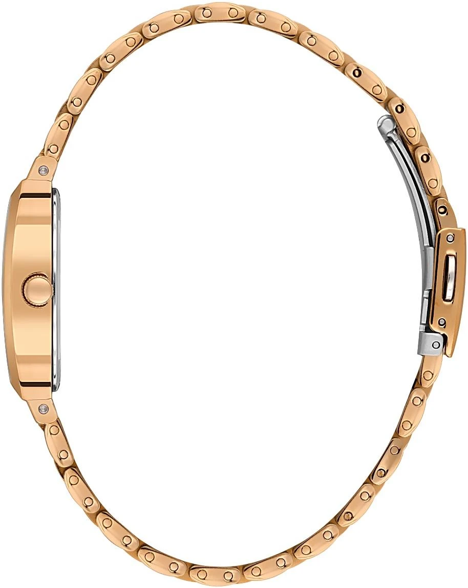 Наручные часы  Daniel Klein  Premium Daniel Klein 14165-5 (фото 2)