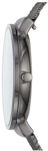Наручные часы  Skagen  Titanium Skagen SKW6432 (фото 3)