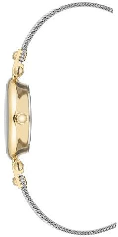 Наручные часы  Anne Klein  Steel Anne Klein 3003SVTT (фото 3)