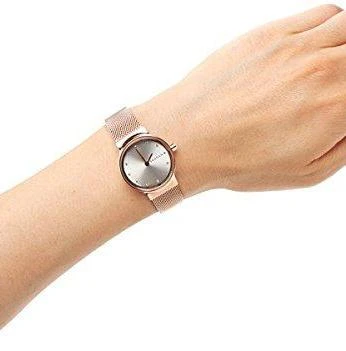 Наручные часы  Skagen  Steel Women Skagen SKW2665 (фото 2)