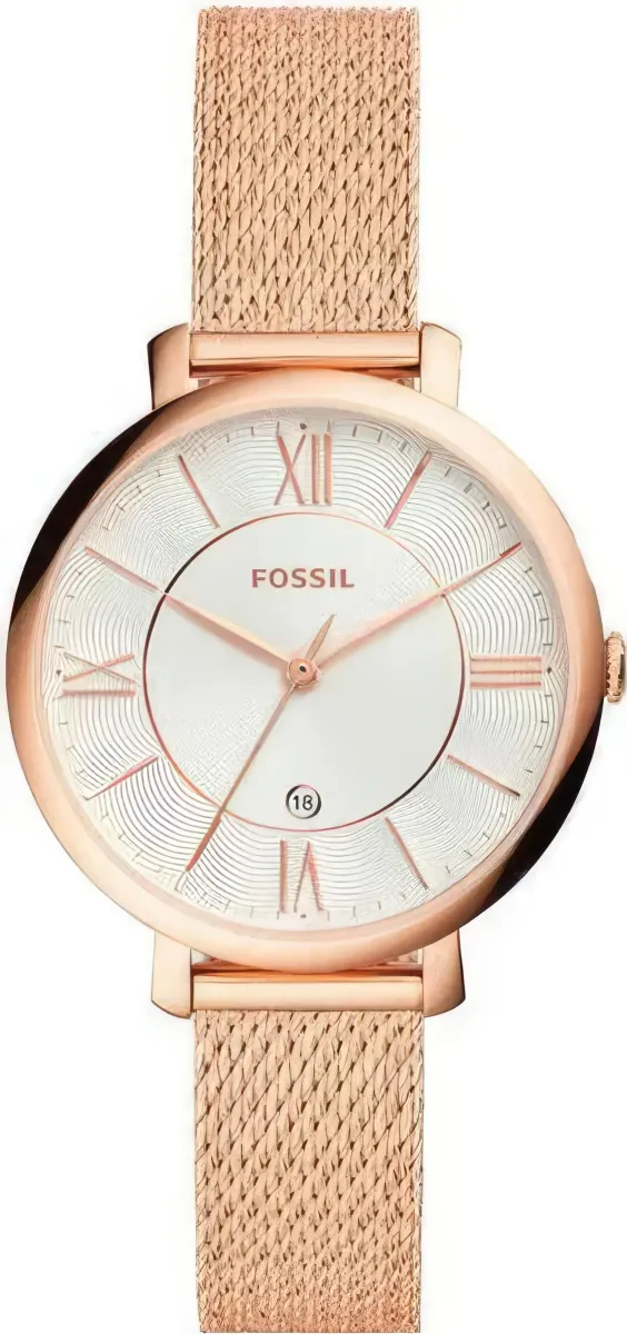 Наручные часы  Fossil  Casual Fossil ES4352 (фото 1)