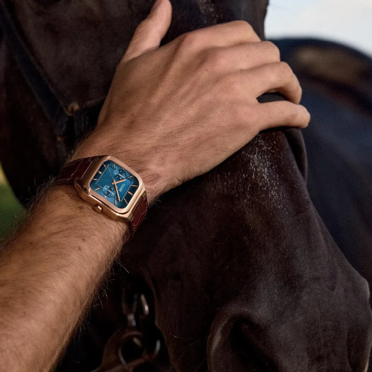 Наручные часы  Cluse  Quadrus Cluse CW26204 (фото 3)