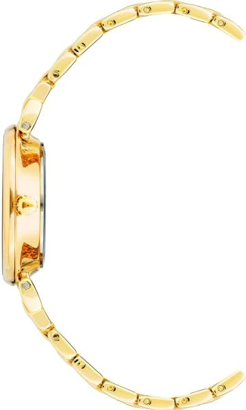 Наручные часы  Anne Klein  Steel Anne Klein 2158BHGB (фото 2)