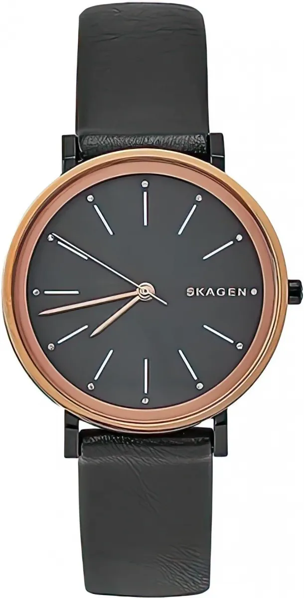 Наручные часы  Skagen  Leather Women Skagen SKW2490 (фото 1)