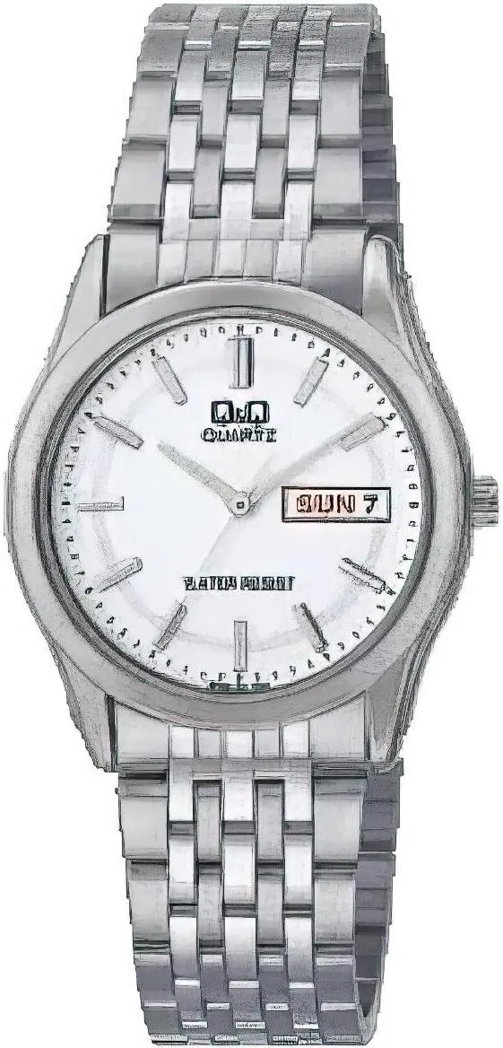 Наручные часы  Q&Q  Casual Q&Q BD98J201Y (фото 1)