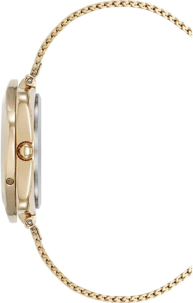 Наручные часы  Anne Klein  Box Set Anne Klein 5162GPST (фото 5)