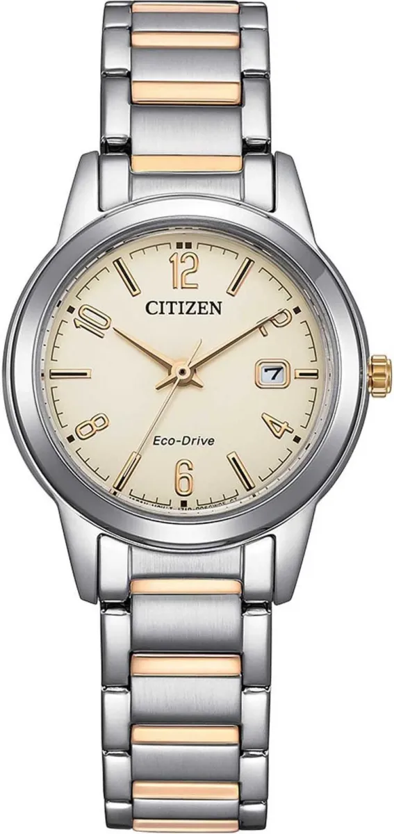 Наручные часы  Citizen  Eco Drive Citizen FE1244-72A (фото 1)