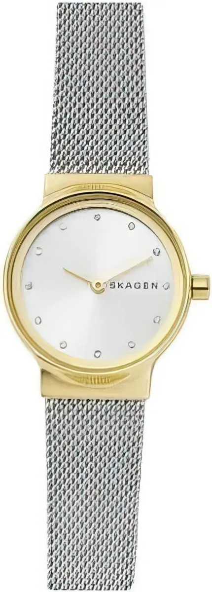 Наручные часы  Skagen  Black Label Skagen SKW2666 (фото 1)