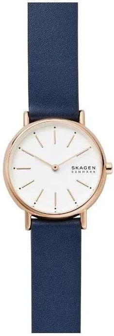 Наручные часы  Skagen  Leather Women Skagen SKW2838 (фото 1)