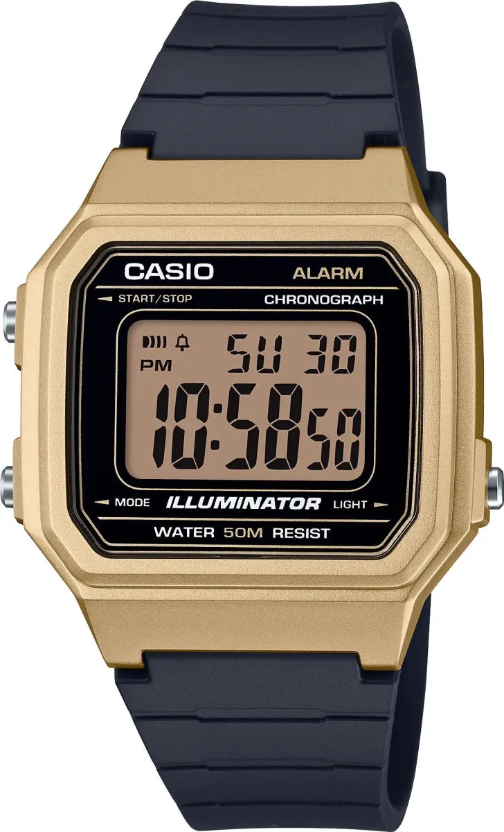 Наручные часы  Casio  Collection Casio W-217HM-9A (фото 1)