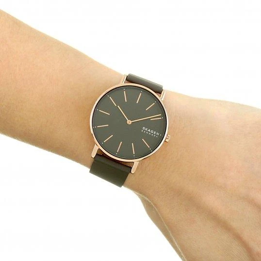 Наручные часы  Skagen  Signatur Skagen SKW2794 (фото 4)