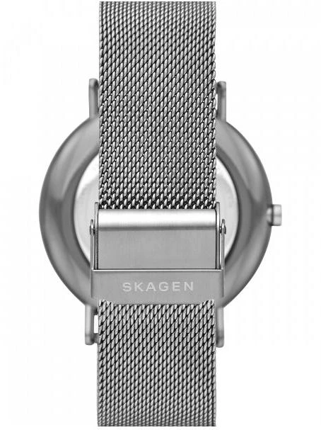 Наручные часы  Skagen  Signatur Skagen SKW6549 (фото 2)