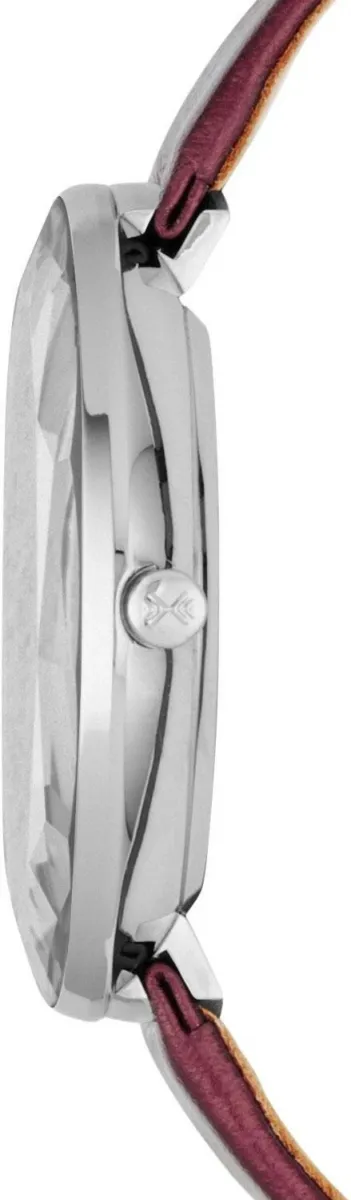 Наручные часы  Skagen  Leather Skagen SKW2273 (фото 2)