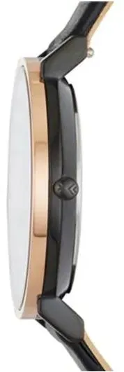 Наручные часы  Skagen  Leather Women Skagen SKW2490 (фото 2)