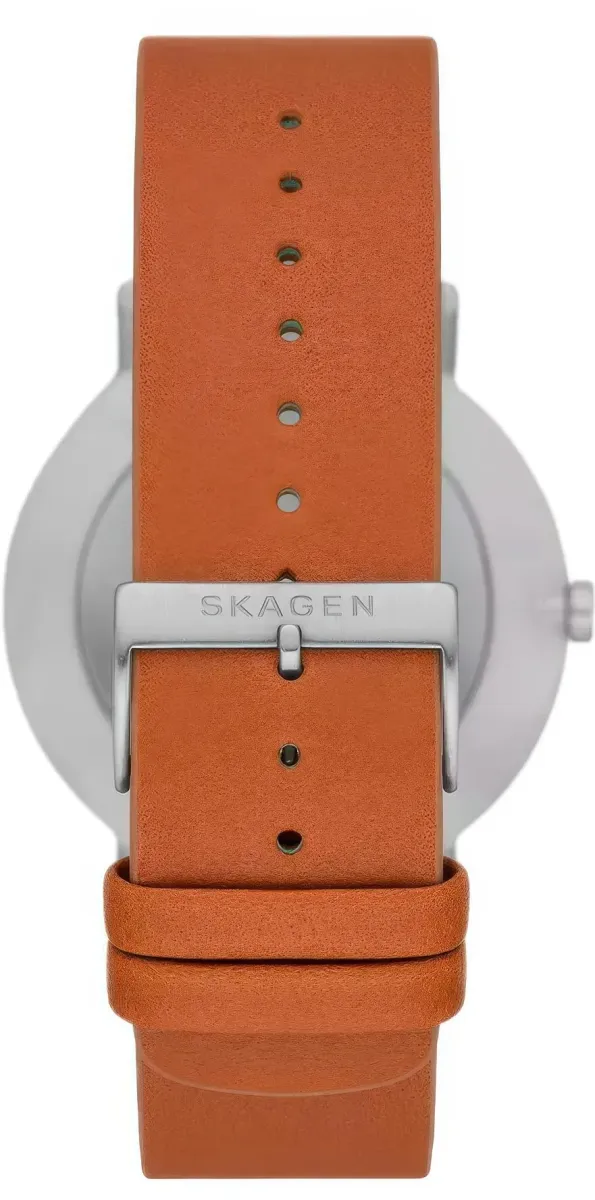 Наручные часы  Skagen  Kuppel Skagen SKW6888 (фото 2)