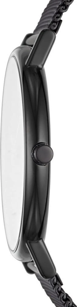 Наручные часы  Skagen  Signatur Skagen SKW6484 (фото 2)