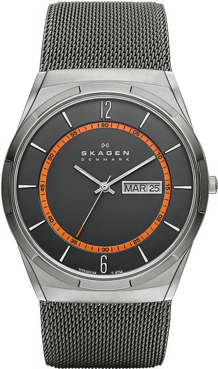 Наручные часы  Skagen  Titanium Skagen SKW6007 (фото 1)