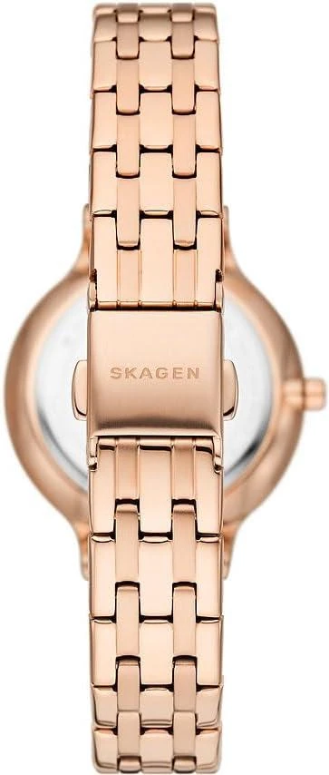 Наручные часы  Skagen  Anita Skagen SKW3128 (фото 3)