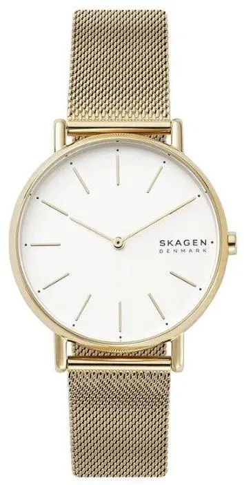 Наручные часы  Skagen  Signatur Skagen SKW2795 (фото 1)