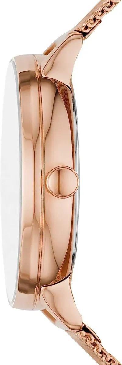 Наручные часы  Skagen  Steel Skagen SKW2918 (фото 2)
