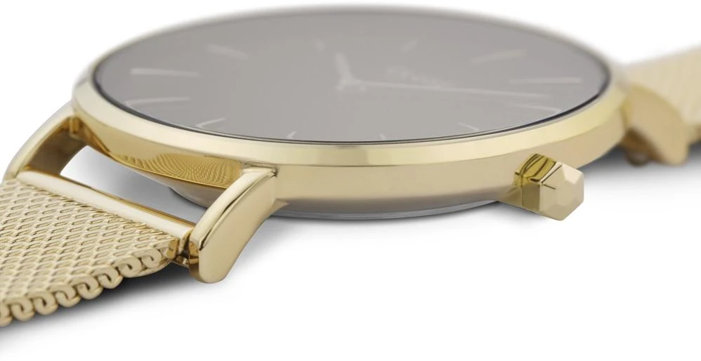 Наручные часы  Cluse  Boho Chic Petite Cluse CW0101201014 (фото 2)