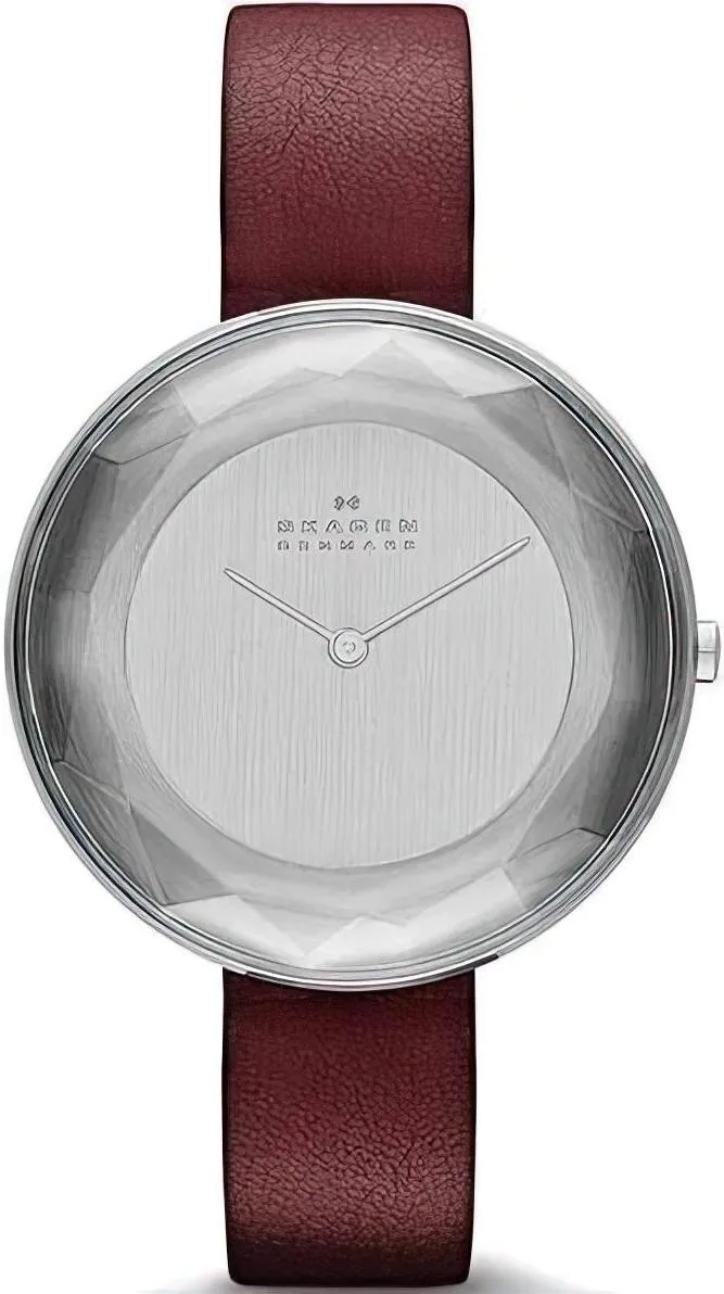 Наручные часы  Skagen  Leather Skagen SKW2273 (фото 1)