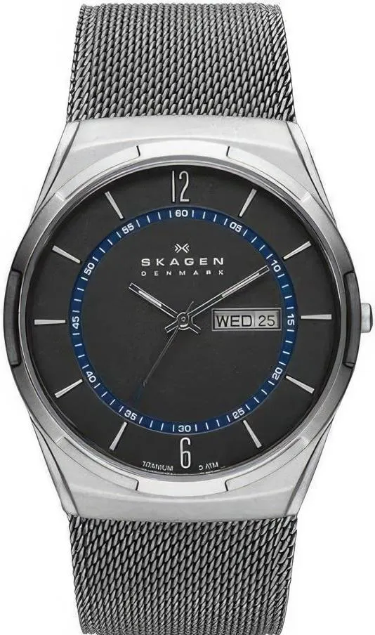Наручные часы  Skagen  Titanium Skagen SKW6078 (фото 1)