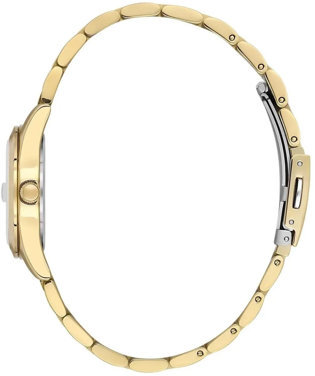Наручные часы  Daniel Klein  Premium Daniel Klein 13758-5 (фото 2)