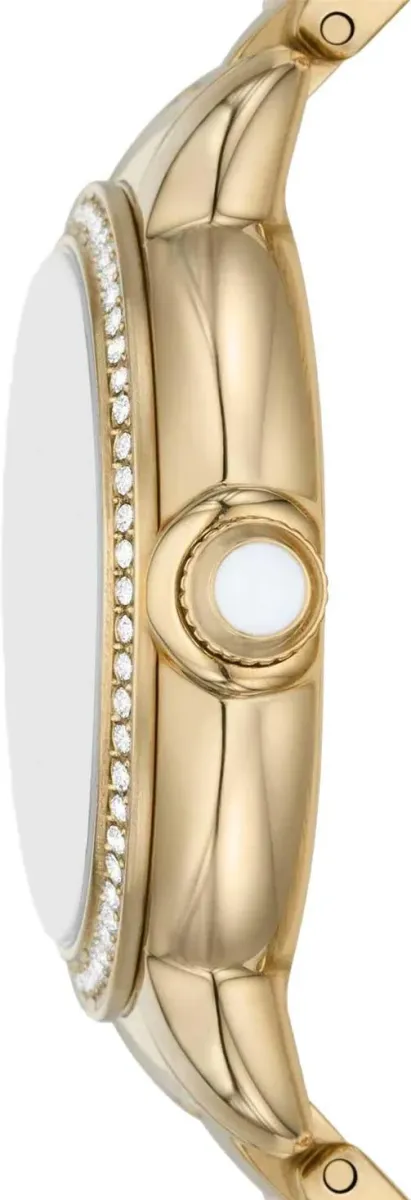 Наручные часы  Emporio Armani  Classics Emporio Armani AR11609 (фото 2)