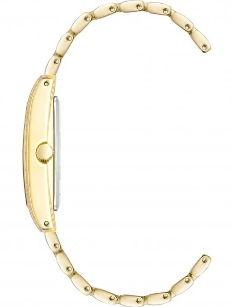 Наручные часы  Anne Klein  Steel Anne Klein 3990GBST (фото 2)