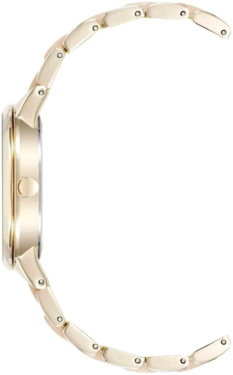 Наручные часы  Anne Klein  Plastic Anne Klein 1412IRGB (фото 2)