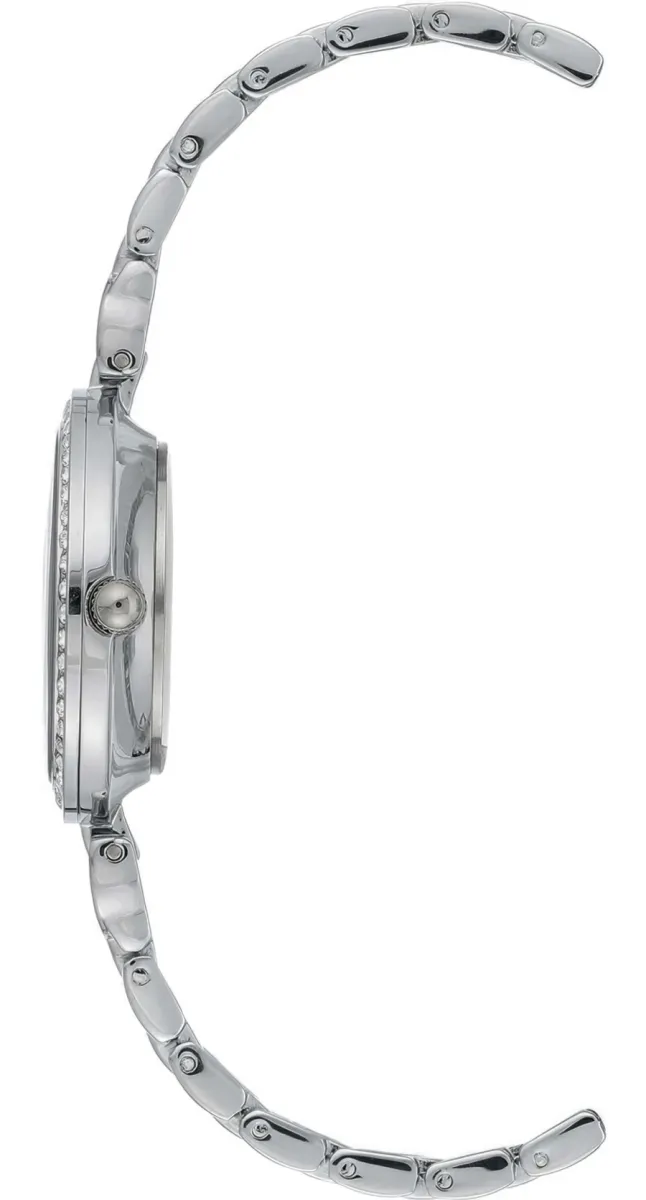 Наручные часы  Anne Klein  Steel Anne Klein 3465MPSV (фото 2)