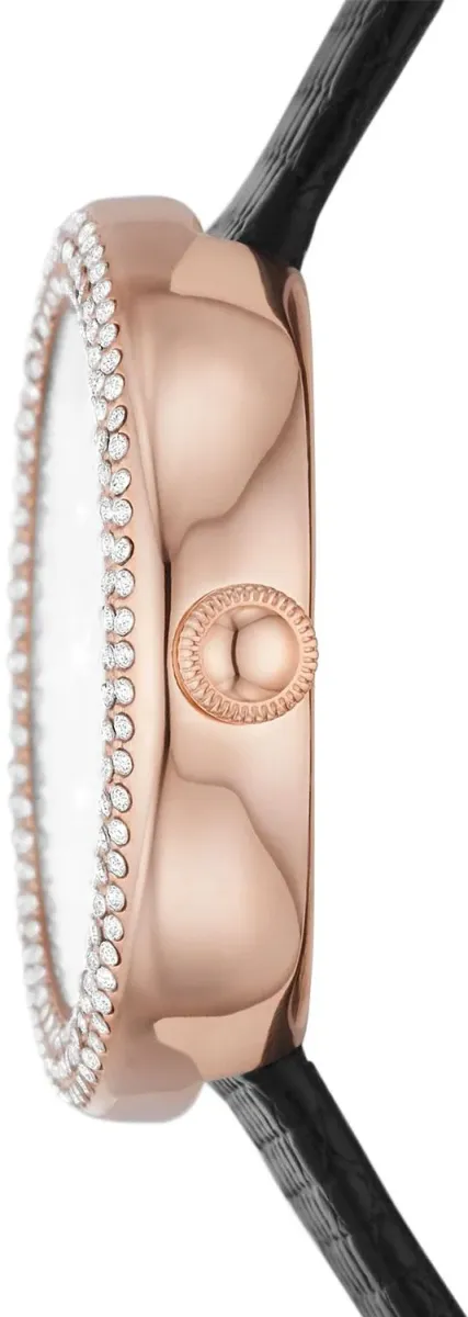 Наручные часы  Emporio Armani  Rosa Emporio Armani AR11433 (фото 2)