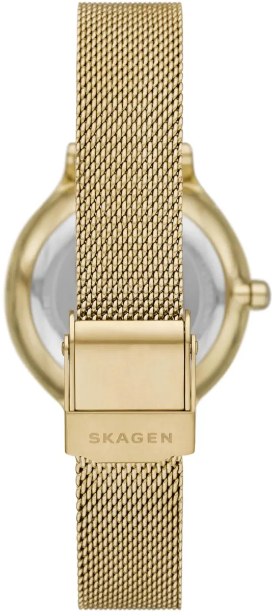 Наручные часы  Skagen  Anita Skagen SKW3145 (фото 4)