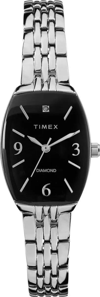 Наручные часы  Timex  Timex Standard Timex TW2T50000 (фото 1)