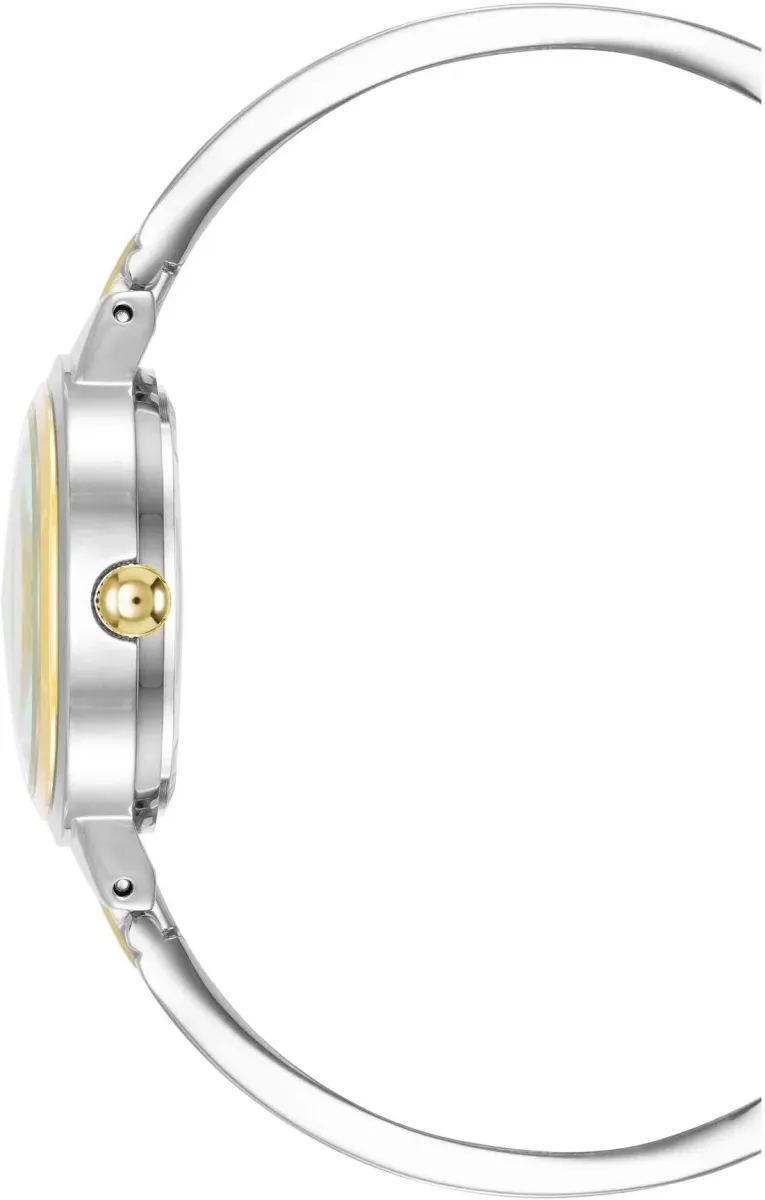 Наручные часы  Anne Klein  Daily Anne Klein 1441BKTT (фото 3)