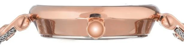 Наручные часы  Anne Klein  Steel Anne Klein 3001SVRT (фото 5)