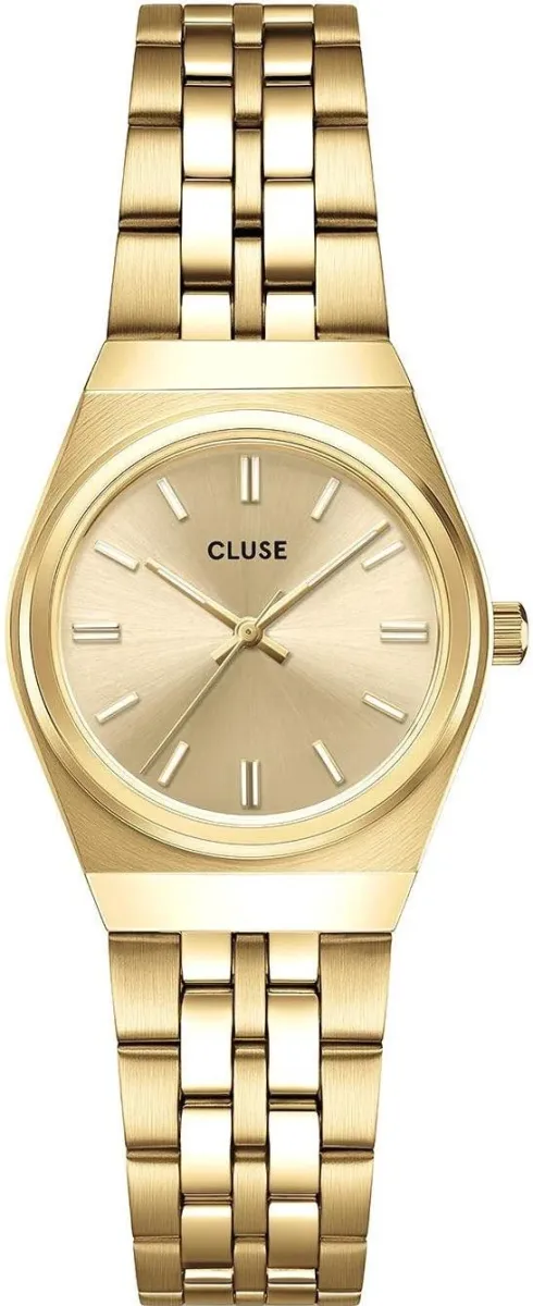 Наручные часы  Cluse  Retro 70’s Cluse CW16302 (фото 1)