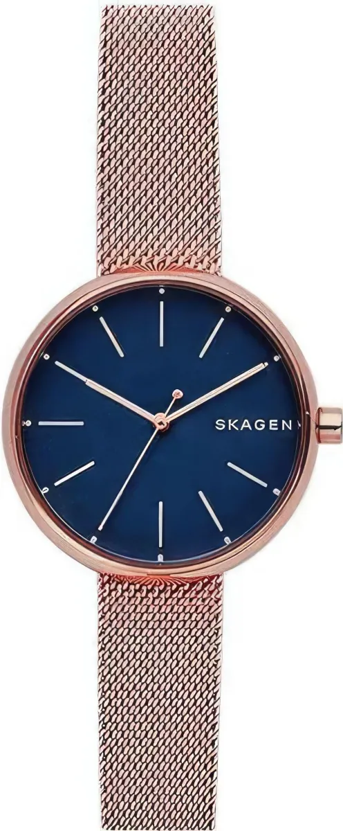 Наручные часы  Skagen  Steel Women Skagen SKW2593 (фото 1)