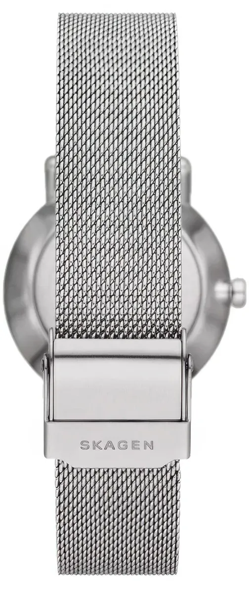 Наручные часы  Skagen  Kuppel Skagen SKW3100 (фото 2)