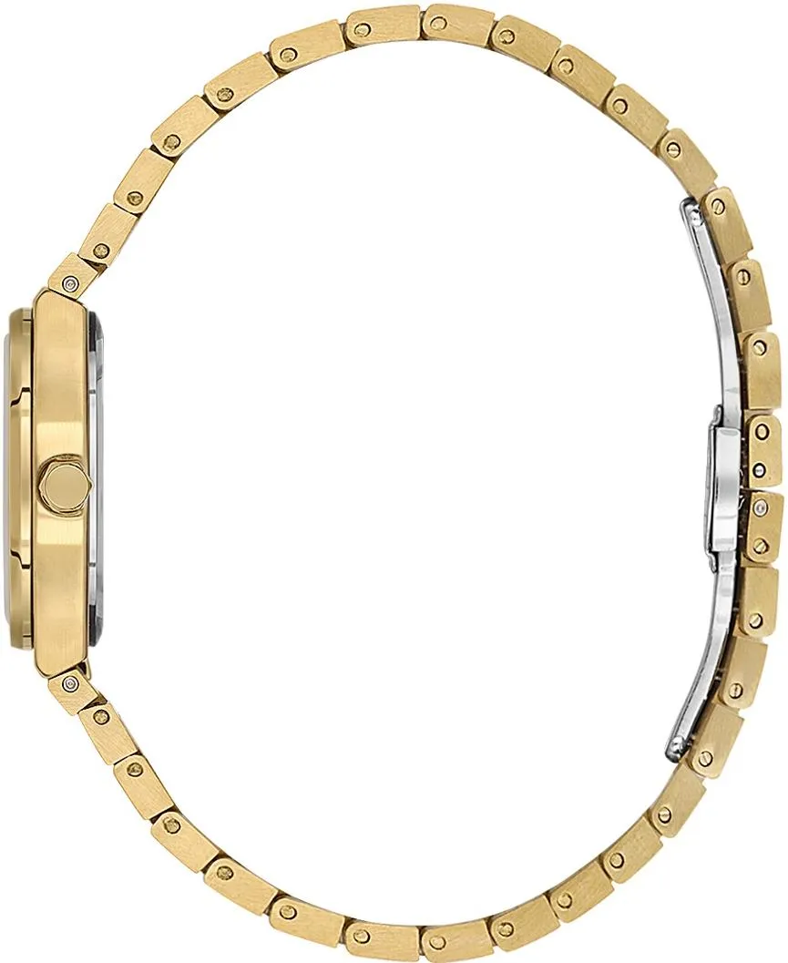 Наручные часы  Daniel Klein  Premium Daniel Klein 14177-4 (фото 2)