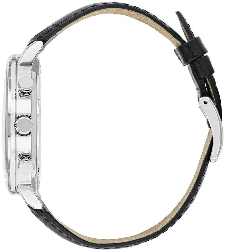 Наручные часы  Citizen  Basic Citizen AN3610-12A (фото 2)
