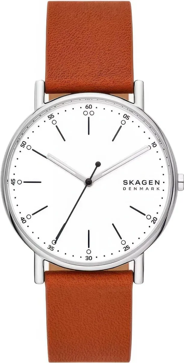 Наручные часы  Skagen  Signatur Skagen SKW6903 (фото 1)