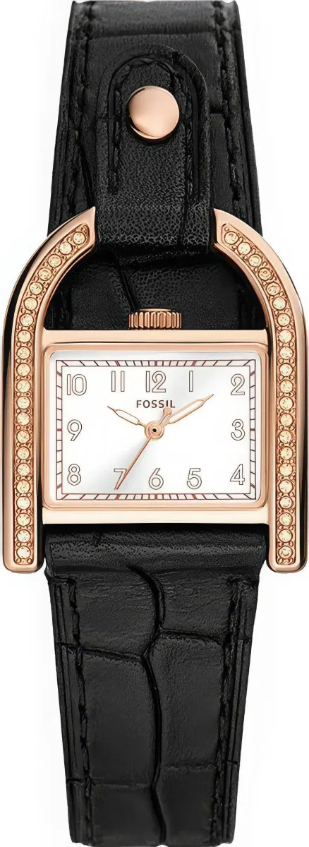 Наручные часы  Fossil  Harwell Fossil ES5263 (фото 1)