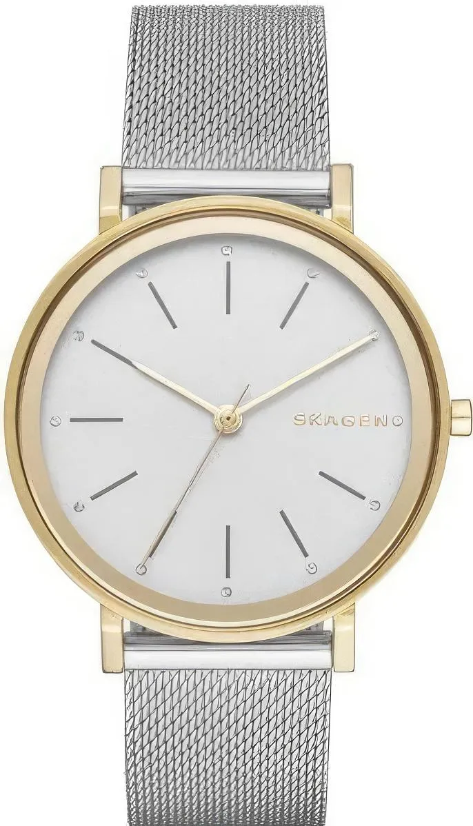 Наручные часы  Skagen  Steel Skagen SKW2508 (фото 1)