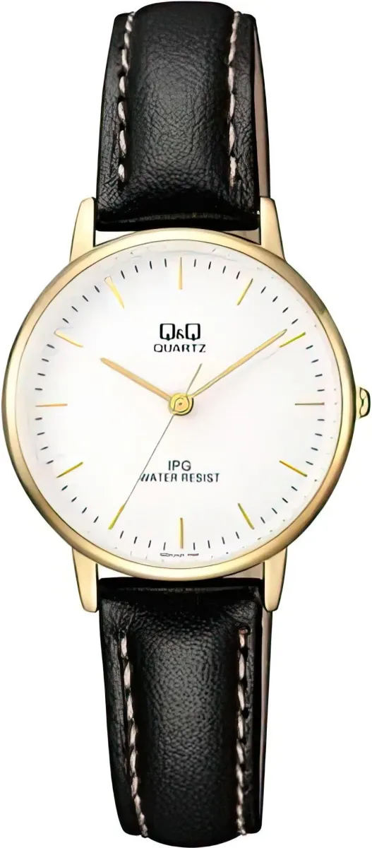 Наручные часы  Q&Q  Casual Q&Q QZ01J101Y (фото 1)