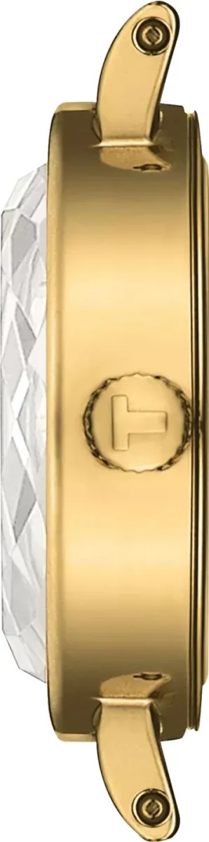 Наручные часы  Tissot  Lovely Tissot T140.009.36.091.00 (фото 2)