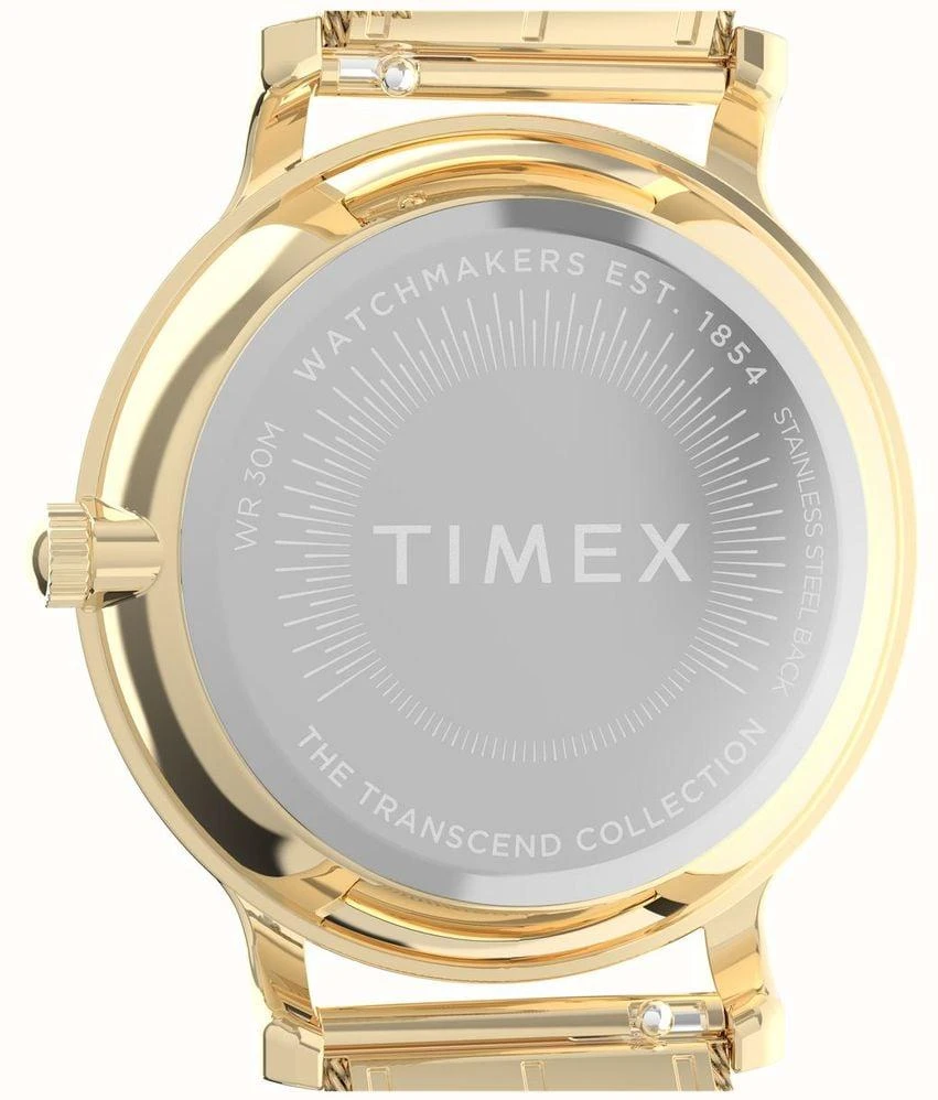 Наручные часы  Timex  Transcend Timex TW2Y10300 (фото 4)