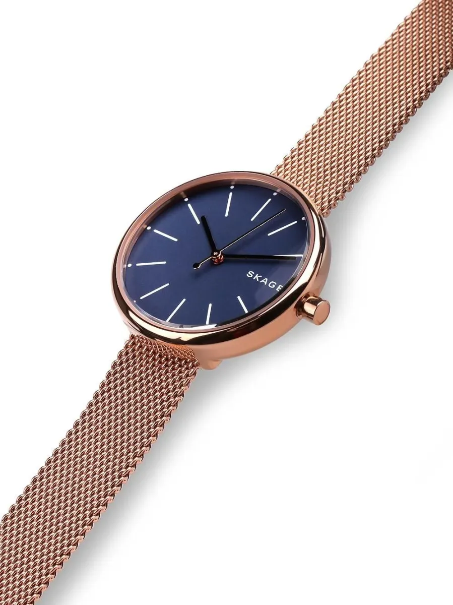 Наручные часы  Skagen  Steel Women Skagen SKW2593 (фото 2)