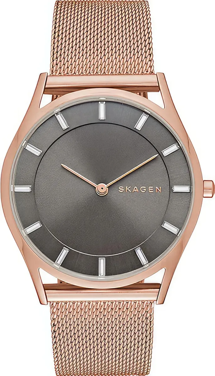 Наручные часы  Skagen  Steel Women Skagen SKW2378 (фото 1)